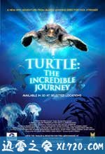 海龟奇妙之旅 Turtle: The Incredible Journey (2009)