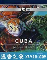 古巴：意外的伊甸园 Nature Cuba: The Accidental Eden (2010)