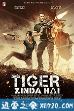 老虎是活的 Tiger Zinda Hai (2017)