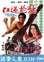 猛龙过江 猛龍過江 (1972)