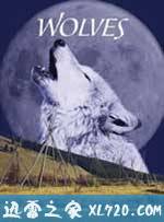 狼 Wolves (1999)