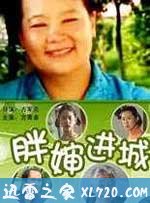 胖婶进城 (2006)