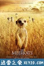 蒙哥 The Meerkats (2008)