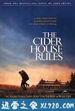 总有骄阳 The Cider House Rules (1999)