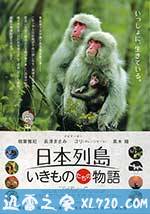 日本列岛 动物物语 日本列島 いきものたちの物語 (2012)