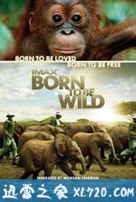 天生狂野 Born to Be Wild (2011)