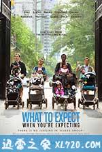 孕期完全指导 What to Expect When You're Expecting (2012)