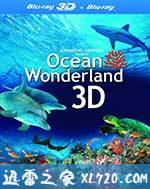 神奇的海洋 Amazing Ocean 3D (2012)