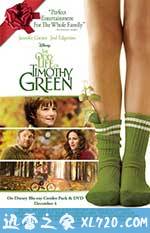 蒂莫西的奇异生活 The Odd Life of Timothy Green (2012)