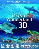 海洋仙境 Ocean Wonderland (2003)