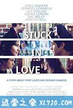 困在爱中 Stuck in Love (2013)