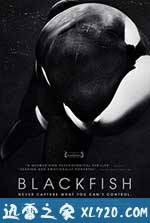 黑鲸 Blackfish (2013)