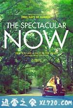 好景当前 The Spectacular Now (2013)