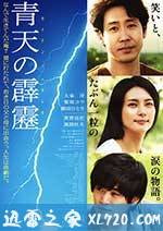 晴天霹雳 青天の霹靂 (2014)