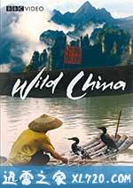 美丽中国 Wild China (2008)