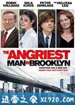 布鲁克林最愤怒的人 The Angriest Man in Brooklyn (2014)