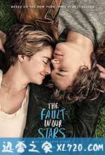 星运里的错 The Fault in Our Stars (2014)