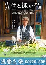 老师与流浪猫 先生と迷い猫 (2015)