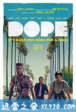 酷毙了 Dope (2015)