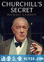 丘吉尔的秘密 Churchill's Secret (2016)