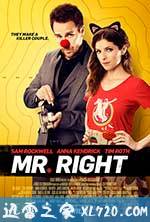 真命天子 Mr. Right (2015)