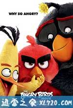 愤怒的小鸟 The Angry Birds Movie (2016)