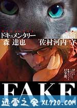 FAKE (2016)