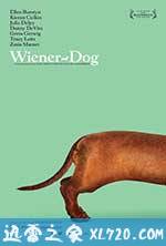 腊肠狗 Wiener-Dog (2016)