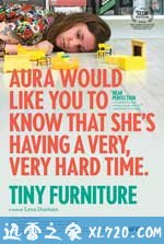 微型家具 Tiny Furniture (2010)