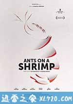 虾上蚂蚁 Ants on a Shrimp (2016)