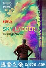 天梯：蔡国强的艺术 Sky Ladder: The Art of Cai Guo-Qiang (2016)