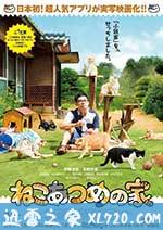 猫咪后院之家 ねこあつめの家 (2017)