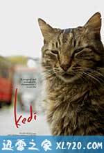 伊斯坦布尔的猫 Kedi (2016)