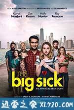 大病 The Big Sick (2017)