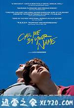 请以你的名字呼唤我 Call Me by Your Name (2017)