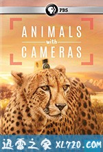 假如动物会摄影 Animals with Cameras (2018)