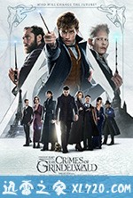 神奇动物：格林德沃之罪 Fantastic Beasts: The Crimes of Grindelwald (2018)