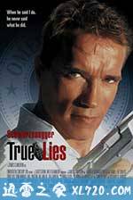 真实的谎言 True Lies (1994)