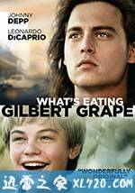 不一样的天空 What's Eating Gilbert Grape (1993)