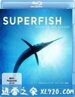 自然：超级鱼类 The Natural World Superfish (2008)