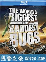 虫霸天下 World's Biggest and Baddest Bugs (2009)